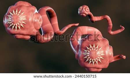 3D Rendering of isolated tapeworm. it is a flat, parasitic worm that lives in the intestines of an animal host
