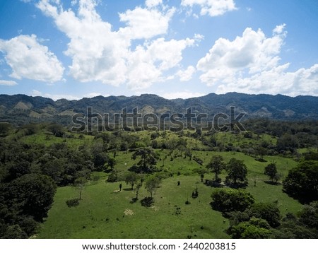 Mexico Tropical Mountain Landscape Green Jungle Hills Near palenque . Drone. High quality photo