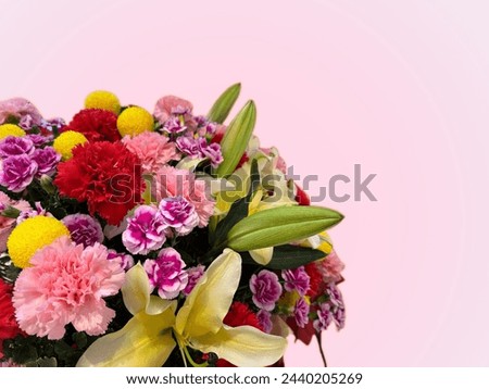 Flowers of many different colors were arranged together to decorate place beautifully, isolated to pink background. Image, used to cards for various auspicious events, wallpaper, advertising artwork.