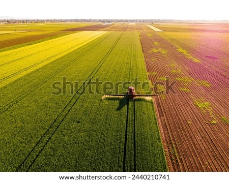Drone shot of a tractor spraying in lush green wheat fields under the bright sun, showcasing modern agriculture