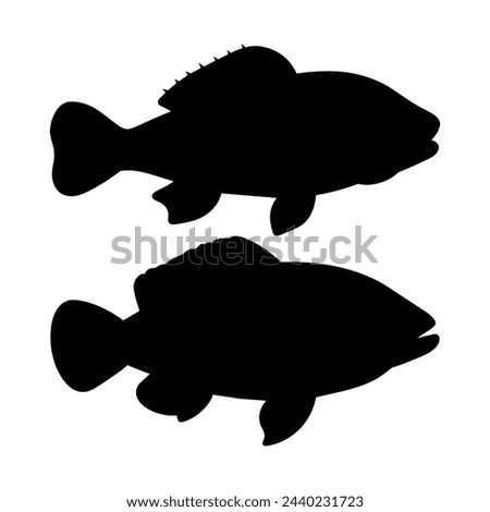 silhouette of a wrasse fish on white