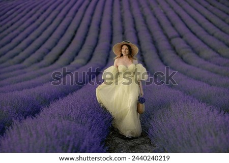 Woman poses in lavender field. Happy woman in yellow dress holds lavender bouquet. Aromatherapy concept, lavender oil, photo session in lavender Royalty-Free Stock Photo #2440240219