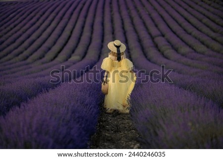 Back view woman lavender sunset. Happy woman in yellow dress holds lavender bouquet. Aromatherapy concept, lavender oil, photo session in lavender