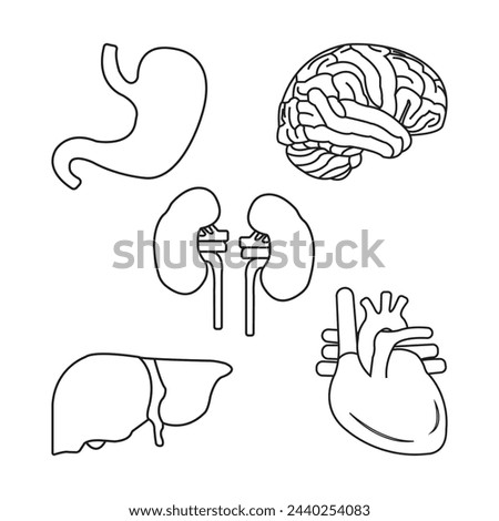 Human organs icon vector illustration simple design
