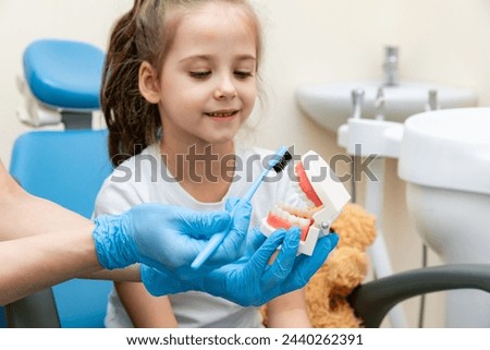 Female dentist teaches a little girl how to brush her teeth properly with jaw model and toothbrush. The concept of oral care. concept of dentistry. children's dentist. plasma structure of the jaw Royalty-Free Stock Photo #2440262391