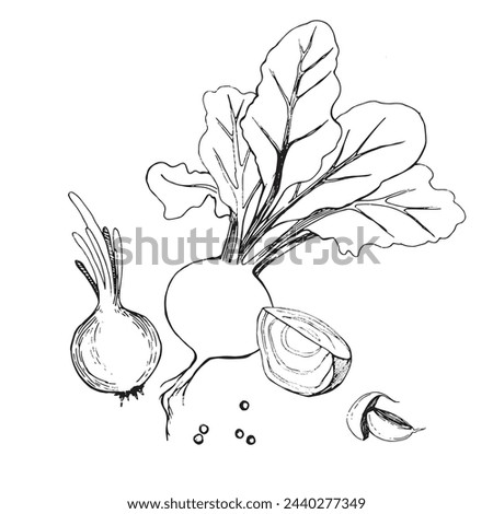 Vector illustration. Beetroot with tops, beetroot slice, onion drawn in black outline in vector on a white background. Suitable for printing on fabric and paper, product packaging, design, creativity Royalty-Free Stock Photo #2440277349