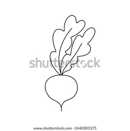 Vector isolated one single root vegetable beet beetrot radish turnip with tops colorless black and white contour line easy drawing Royalty-Free Stock Photo #2440301375