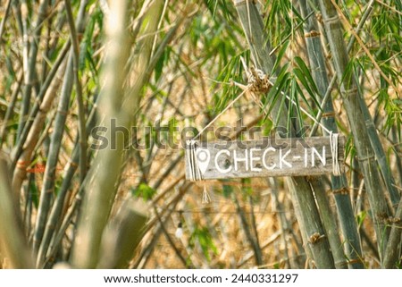 A sign with the word check in hanging on a green bamboo tree.