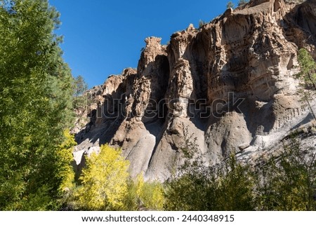 Bandelier National Monument in New Mexico. Hot ash from volcano at Valles Caldera cooled and welded into a rock called tuff. Pajarito Plateau and Frijoles Canyon show Volcanic Geology. Cottonwood tree Royalty-Free Stock Photo #2440348915