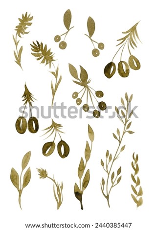 Olive-colored flowers, twigs and berries. Set of watercolors for your design
