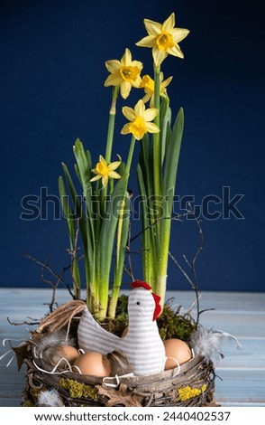 Easter decor in rustic style. Nest, chicken, yellow daffodils on navy blue background.Handmade.Concept of home comfort and decor on  bright holiday of Easter. Vertical. Top view. Close-up