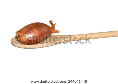 Single shallot on a wooden spoon isolated on white