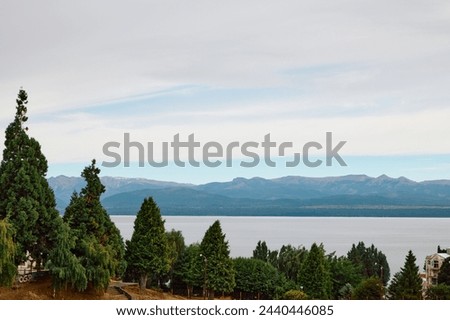 Trees on a steep mountain slope on a windless cloudy day against the backdrop of a lake and mountains