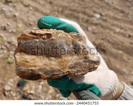 Sample of brown untreated chalcedony in hand, field photo, rockhounding Royalty-Free Stock Photo #2440451755