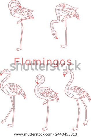 Retro style line drawing flamingo illustration set
