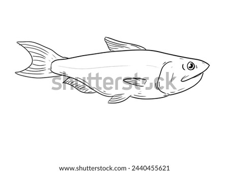 digital illustration of fish black and white