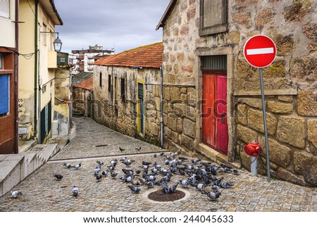 Vila Nova de Gaia, Portugal alley scene with pigeons.