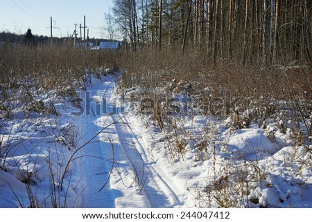 Path with the traces of a snowmobile at the forest edge