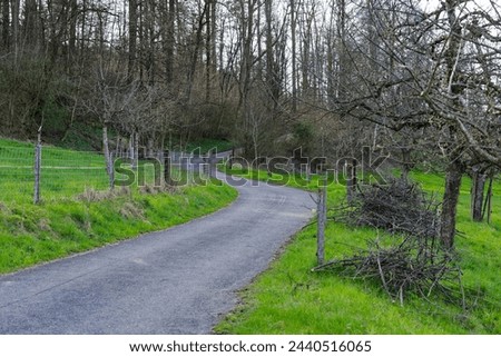 Diminishing perspective of winding rural road with apple trees, meadow and forest in the background on a sunny spring afternoon at Swiss town. Photo taken March 20th, 2024, Zurich, Switzerland. Royalty-Free Stock Photo #2440516065
