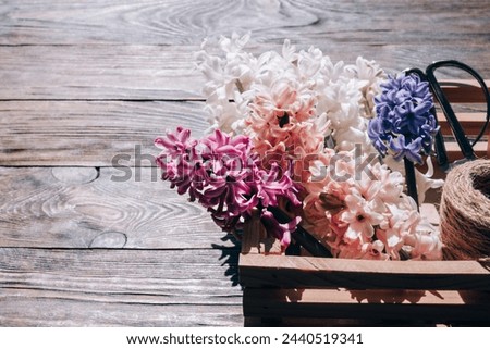 Hyacinths on a wooden background. Bouquet of flowers on a brown table. Bright sunlight, hard shadows. Close-up.