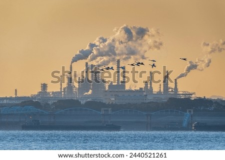 little swans fly over the thick smoking oil refinery in the early morning by the Yangtze River, China Royalty-Free Stock Photo #2440521261