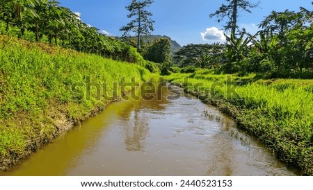 View of unspoiled Indonesian irrigation with green grass all around Royalty-Free Stock Photo #2440523153