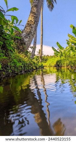 View of unspoiled Indonesian irrigation with green grass all around Royalty-Free Stock Photo #2440523155