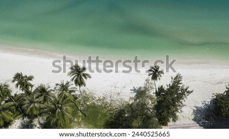 Beautiful tropical beach with white sand, palm trees, turquoise ocean against blue sky with clouds on sunny summer day. 