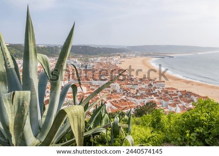 Aerial view over the red rooftops of Nazaré, Portugal, down to Nazaré Beach and the Atlantic Ocean