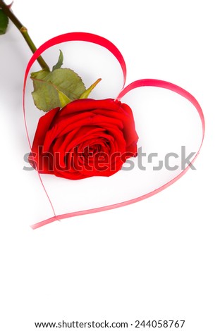 Red rose and paper hearts Valentines Day 