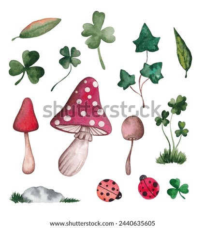 Watercolor Set of Hand Drawn Autumn Elements. Clip Art with Mushrooms and Leaves. Illustrations of Plants and Insects on a White Background. Forest Elements for Design and Scrapbooking