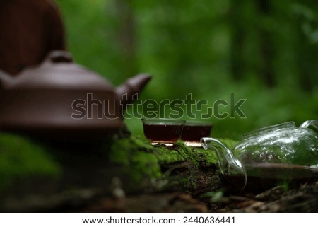 Tea bowls with puer near clay teapot on log with moss