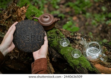 Man holding flat disk of shu puer near clay teapot, tea bowls and shi hai on log with moss