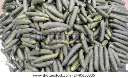 cucumber vegetables stock in mandi kheera pics images