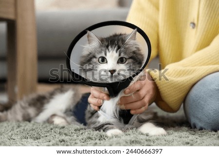 Owner with cute cat wearing Elizabethan collar after sterilization at home Royalty-Free Stock Photo #2440666397