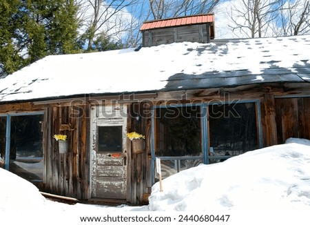 A typical sugar house which may be owned and operated by a small New England farmer active during the spring thaw and sometimes in the fall when the sap is running. Royalty-Free Stock Photo #2440680447