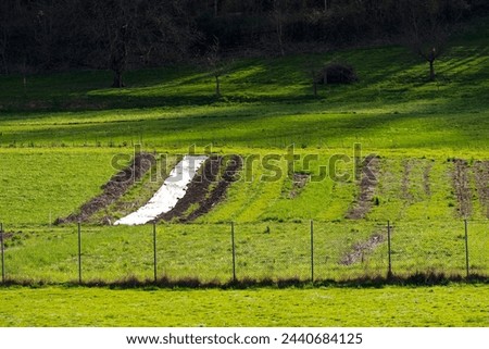 Vegetable field with white cover at Swiss City of Zürich on a sunny spring afternoon. Photo taken March 20th, 2024, Zurich, Switzerland.