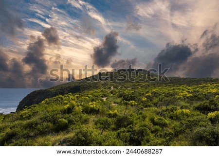 a beautiful spring landscape at Point Dume beach with a hillside covered with yellow flowers and lush green plants, blue ocean water, blue sky and clouds in Malibu California USA Royalty-Free Stock Photo #2440688287