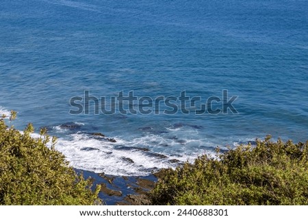 waves rolling into the shore over the rocks with lush green trees and plants at Point Dume Beach in Malibu California USA Royalty-Free Stock Photo #2440688301