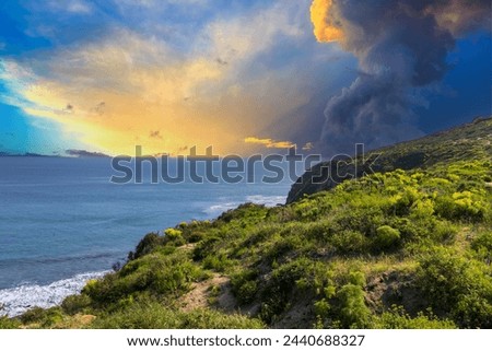 a beautiful spring landscape at Point Dume beach with a hillside covered with yellow flowers and lush green plants, blue ocean water, blue sky and clouds in Malibu California USA Royalty-Free Stock Photo #2440688327