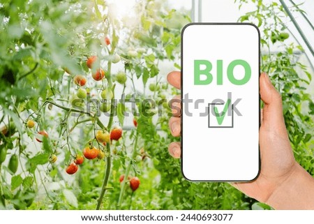 Bio products standard. Online ordering farm-growing vegetables. Quality control in organic vegetables farm greenhouse. 
