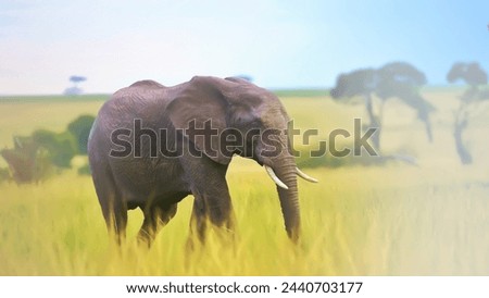 
A picture of an elephant among grasses and trees