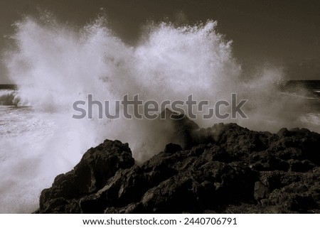 Stormy surf. Wave crashes against a rock. Picture in black and white