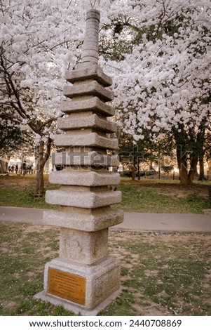 Japanese pagoda at the tidal basin, symbolizing friendship with the USA and Japan, peak cherry blossom season in Washington DC