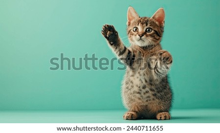 Horizontal shot pleased cartoon cat, points away with both fore fingers, shows blank space for your promotion, isolated over mint green background.