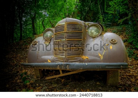 The abandoned and rotten cars in the forest