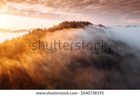 Magical thick fog covers the mountains in the rays of morning light. Location place Carpathian mountains, Ukraine, Europe. Aerial photography. Perfect photo wallpaper. Discover the beauty of earth.