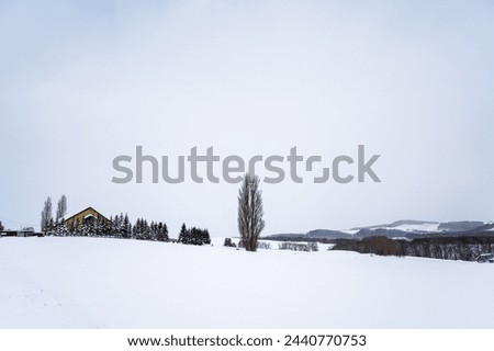 Winter landscape of snow-covered hills in Biei, Hokkaido, Japan