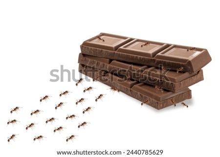 Picture of several chocolate bars on a white background with many red ants. walking towards Many were standing on it. Suitable for use in advertising media, food and art.