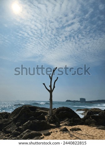 This picture was taken in Galle, Sri Lanka. Such an artistic photo, in my opinion. I hope you feel the same.

